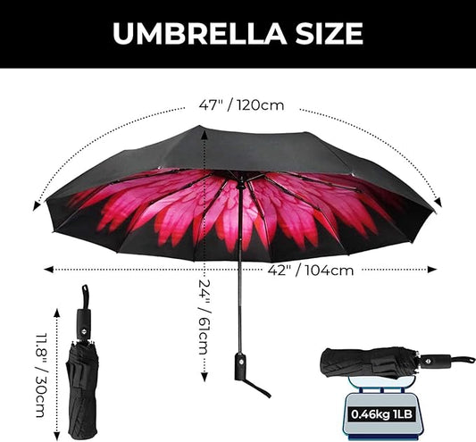 LLanxiry Compact Travel Umbrella, Automatic Open/Close Windproof Umbrella, 10 Fiberglass Ribs, 210T Pongee, UPF 50+ Sun/Rain, Lightweight Portable Umbrellas Travel Size with Carry Sleeve