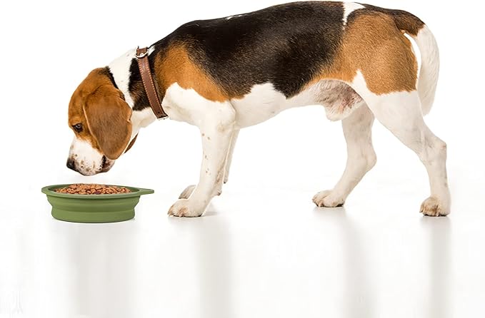 SLSON 2Pack Collapsible Dog Bowl,Integrated Molding Travel Bowl No Plastic Rim Pet Feeding Bowls for Walking Traveling Outdoors,600ML (Navy Blue+Dark Green)