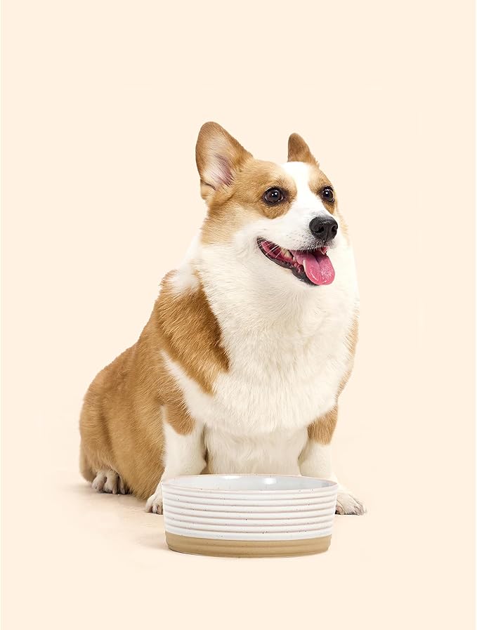 Ceramic Dog Bowls, 4 Cups Food and Water Bowl for Puppy, Small & Medium Sized Dogs, Cute Dog Dish, Easy to Clean, Vanilla White