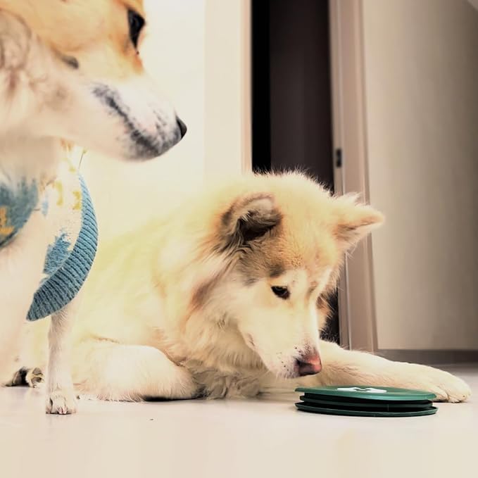 RUNROLE 2-in-1 Collapsible Silicone Dog Travel Bowls, Slot Together and Use Separately, Portable Pet Food Water Bowls, Foldable Cat Feeding Watering Dishes, 20OZ+27OZ(Forest Green)