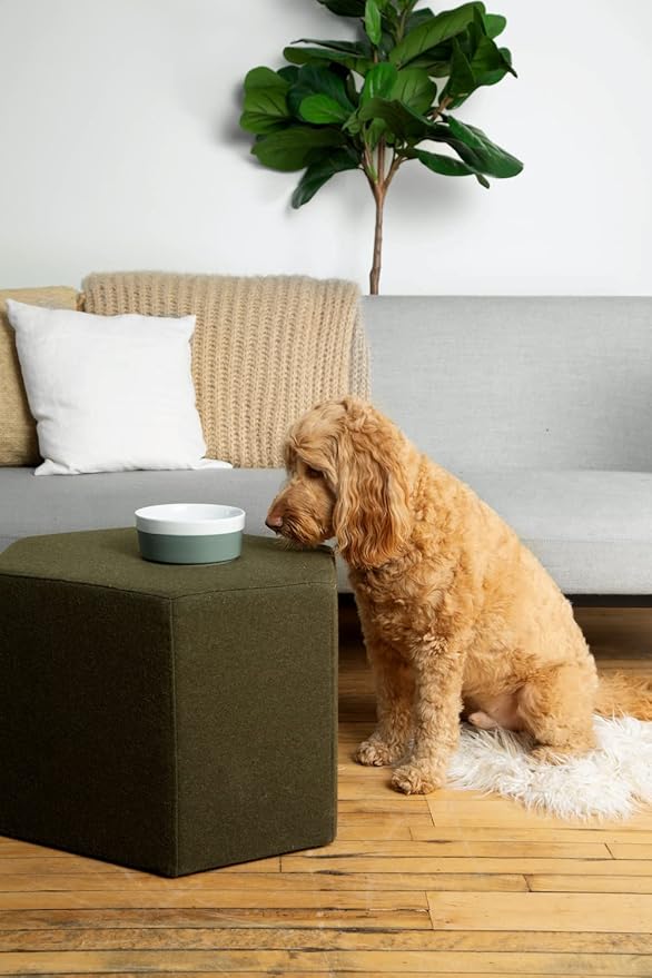 Waggo Dipper Ceramic Dog Bowl for Small and Large Breeds - Heavyweight and Durable Pet Food and Water Dish Crock, Dishwasher Safe, Modern (Midnight, Small)