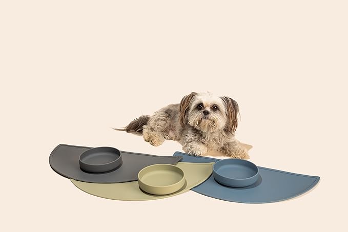 Should We Go? Dog Water Bowl - The Perfect Dish No-Spill, Less Mess Non-Tippable Water & Food Bowl, Pure Silicone with Suction Cup Fits 2 Cups 6” Across x 1.25” Tall Ideal for All Pets, Small-Charcoal