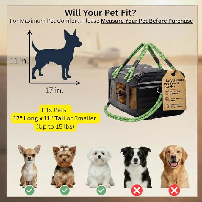 FLUFFY COMMUTE™ TSA Airline Approved Dog Carrier | Soft-Sided | Fits Small Dogs & Pets Up to 15 lbs & 17” Long × 11” Tall | Black w/Green Handle