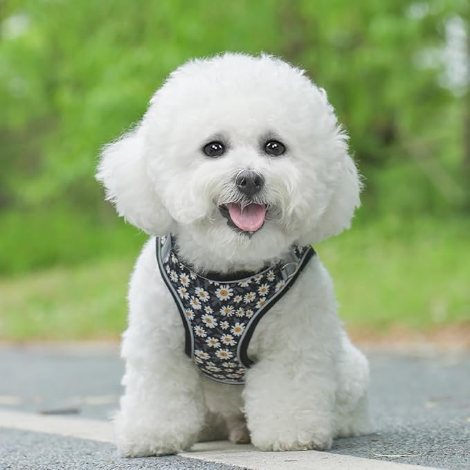 Step in Dog Harness and Leash Set, Flower Adjustable Easy Walk Puppy Harnesses, Soft Mesh No Pull Pet Vest Harness for Small Dogs and Cats(Daisy, XS)