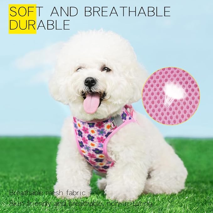 Step in Dog Harness and Leash Set, Flower Adjustable Easy Walk Puppy Harnesses, Soft Mesh No Pull Pet Vest Harness for Small Dogs and Cats(Flower, XS)