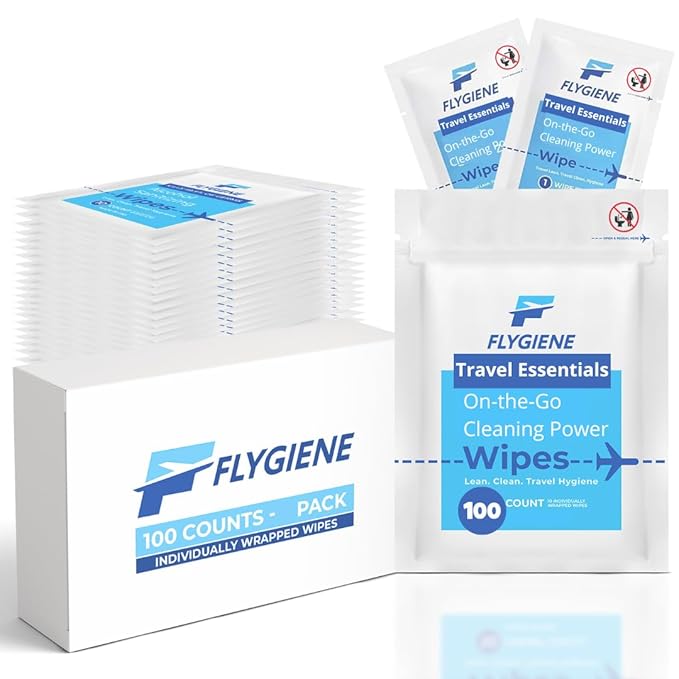 Travel Sanitizing Wipes (100 Count (100 individual wipes))