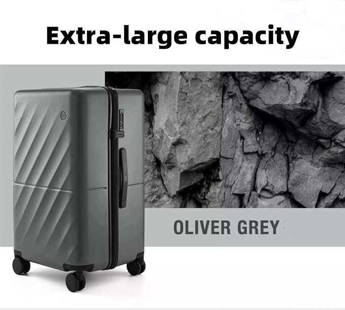 NINETYGO Trunk Luggage 22 Inch, Small Checked Luggage with Double Spinner Wheels, Anti-Burst Zipper, Hard Case PC Suitcase, Lightweight Travel Luggage, TSA Approved (Slate Grey, Hudson)