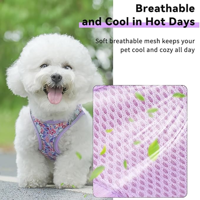 Step in Dog Harness and Leash Set, Flower Adjustable Easy Walk Puppy Harnesses, Soft Mesh Pet Vest Harness Small Size Dog Adjustable No Pull Dog Harness for Small Medium Dogs(Light Purple, S)