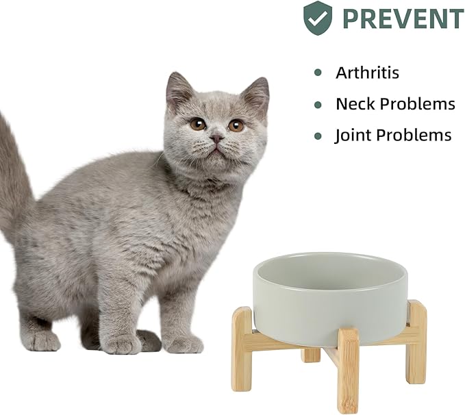 Ceramic Raised Dog and Cat Bowl Set, 2 Heights Elevated Stand, Food and Water Bowl for Small Breed Dogs, Cats, Kitty, Weighted Dog Dishes, Pet Bowls(5.1'',13.5oz, Grey)