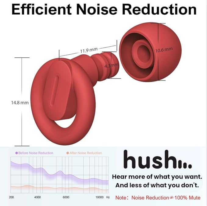 Reusable Earplugs - Noise-Reducing, Custom Fit, 21dB Hearing Protection - 1 Pair
