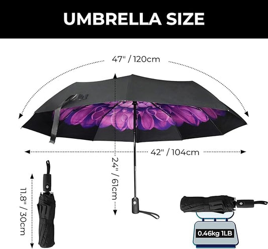 LLanxiry Compact Travel Umbrella, Automatic Open/Close Windproof Umbrella, 10 Fiberglass Ribs, 210T Pongee, UPF 50+ Sun/Rain, Lightweight Portable Umbrellas Travel Size with Carry Sleeve