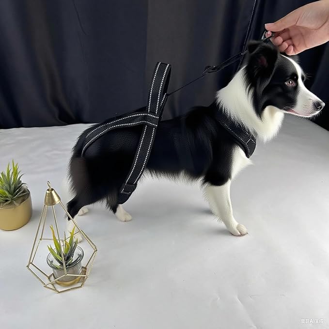 New Upgraded Dog Hind Leg Support Harness, Rear Leg Support Harness - Mobility Aid for Disabled & Paralyzed Pets, Rehabilitation Sling for Hind Leg Assistance (Medium)