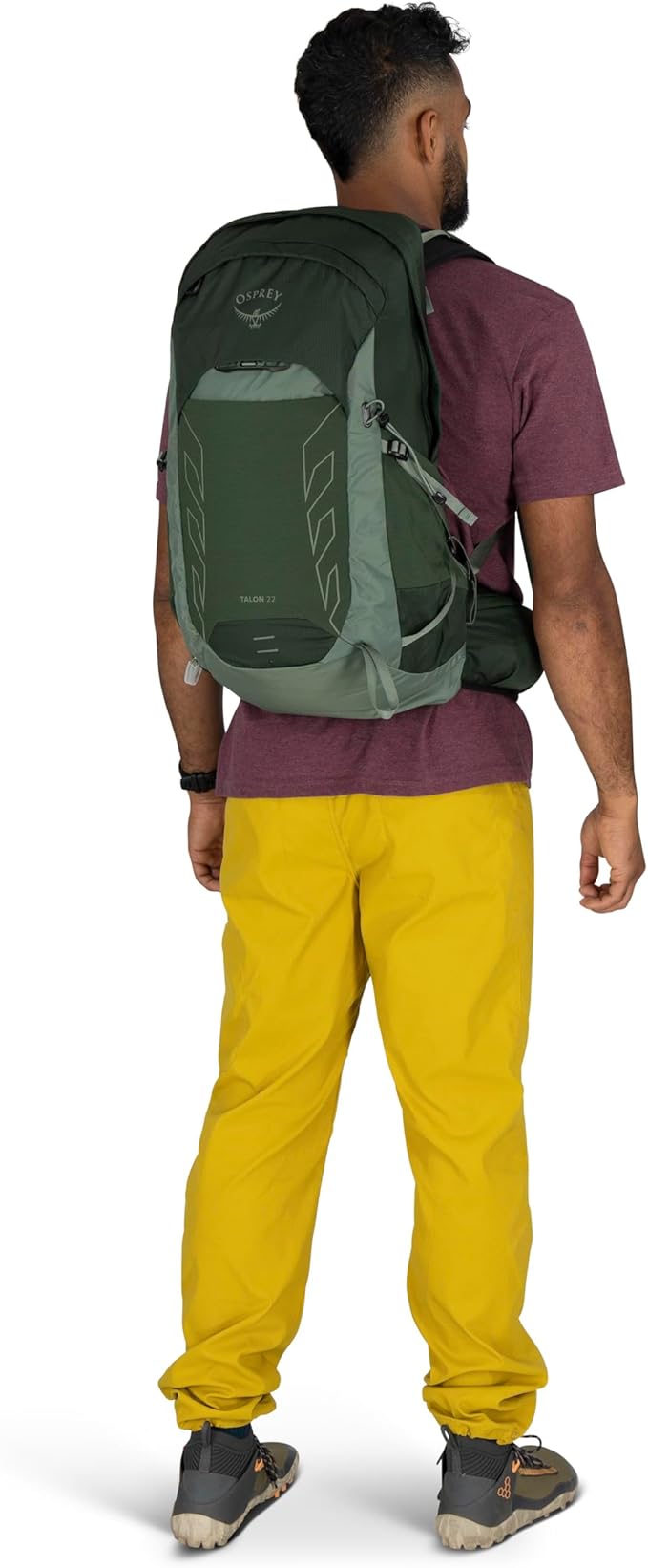 Osprey Talon 22L Men's Lightweight Hiking Backpack - Small Daypack for Travel & Camping, Green Canopy/Pine Leaf