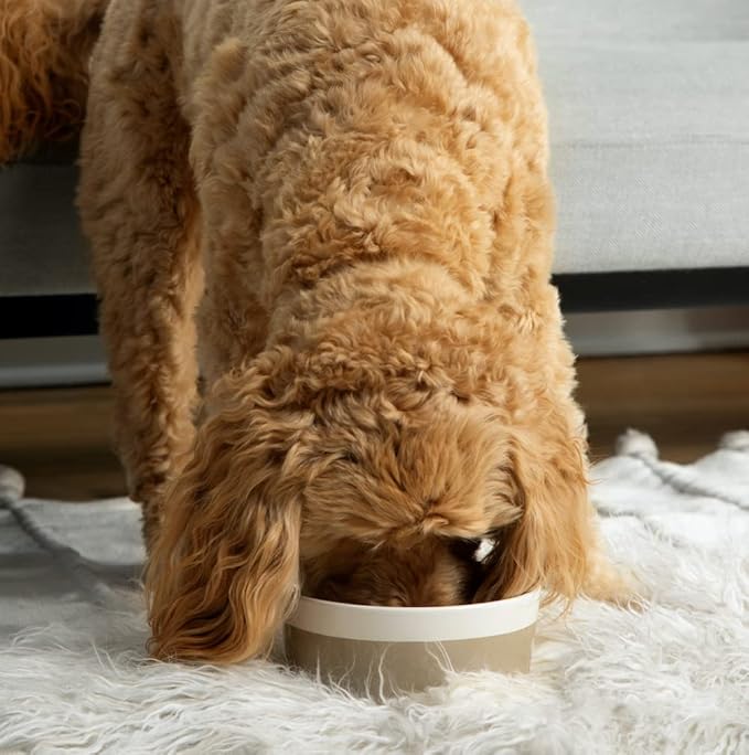 Waggo Dipper Ceramic Dog Bowl for Small and Large Breeds - Heavyweight and Durable Pet Food and Water Dish Crock, Dishwasher Safe, Modern (Mauve, Small)