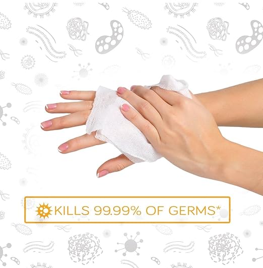 Care Touch Hand Sanitizer Wipes – 440 Individually Wrapped Packets (Box of 4, 110 Wipes Each)