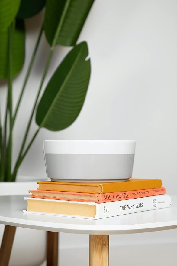 Waggo Dipper Ceramic Dog Bowl for Small and Large Breeds - Heavyweight and Durable Pet Food and Water Dish Crock, Dishwasher Safe, Modern (Mint, Small)