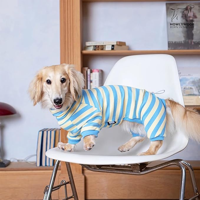 HowlyWoof Dachshund Dog Shirt, Thin Striped Base Layer Onesie for Wiener Dogs, Lightweight All-Season Wear, Soft & Comfy Fit for Doxie and Short-Leg Breeds (Blue&Yellow, Size 3(16-21 lbs))