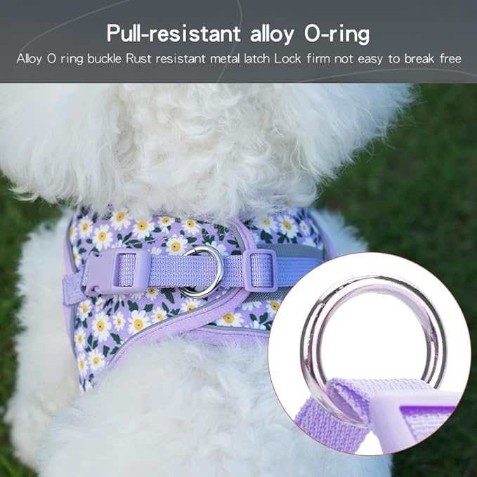 Step in Dog Harness and Leash Set, Flower Adjustable Easy Walk Puppy Harnesses, Soft Mesh No Pull Pet Vest Harness for Small Medium Dogs(Daisy, M)