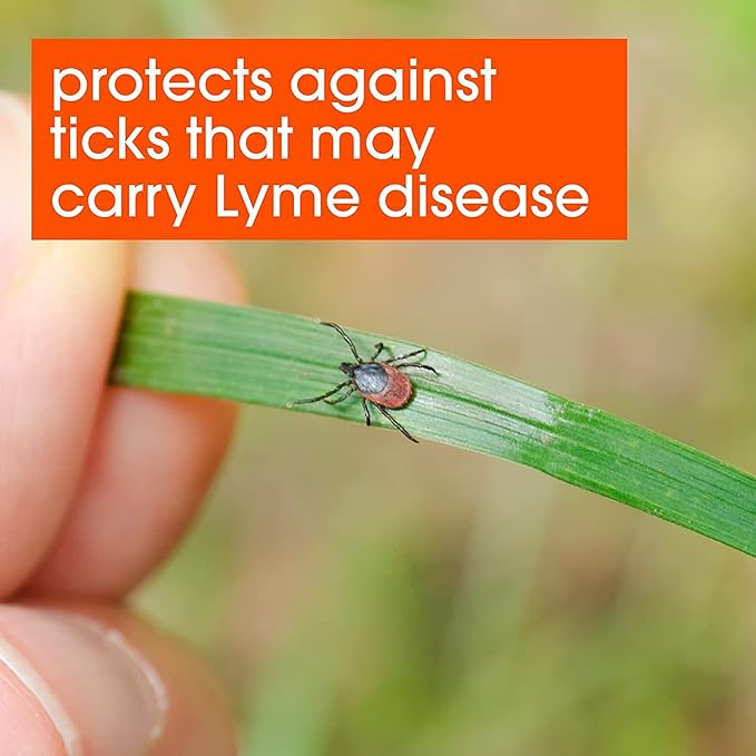 OFF! Deep Woods Insect Repellant Spray, 6 Ounce (Pack of 3)