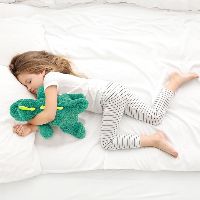 20" | 4 Pounds Weighted Stuffed Animals,Sensory Comfort Plush Throw Pillow Toy, Soft for Home & School, Kawaii Plushies Hugging Toy Gifts for Kids & Adults (Dinosaur, 20 inch 4 Pounds)