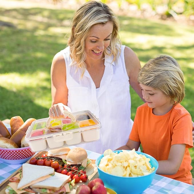 TAROSE Snackle Box Container, 8 Compartments Divided Serving Tray with Lid and Handle, Portable Snack Box Containers for Veggie Tray Charcuterie Boxes Fruit Storage Candy Organizer (8 Compartments)