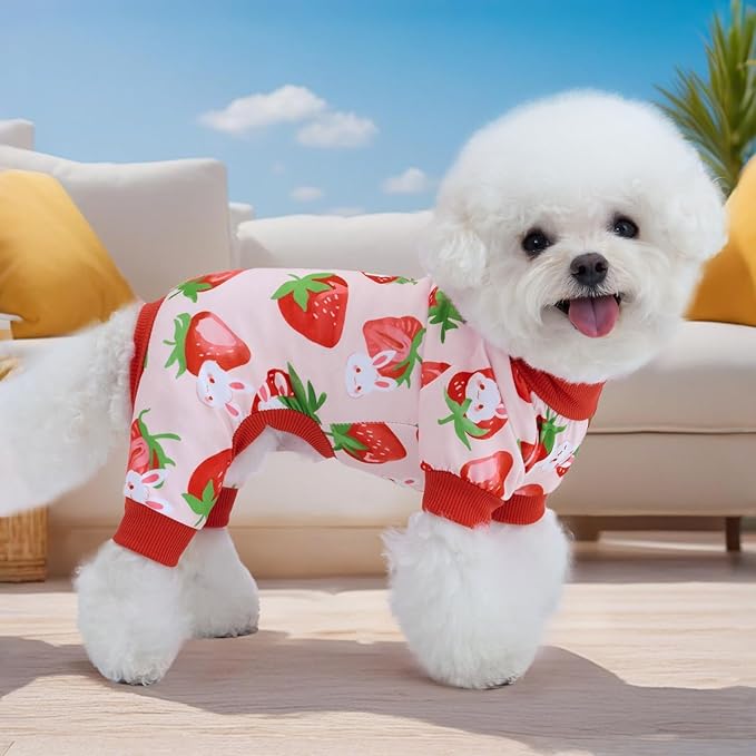 XPUDAC 4 Pieces Dog Pajamas Small Sized Dogs Boy Girl Strechy Soft Pjs Summer Pet Clothes for Dog Cat Puppy Onesies, XL