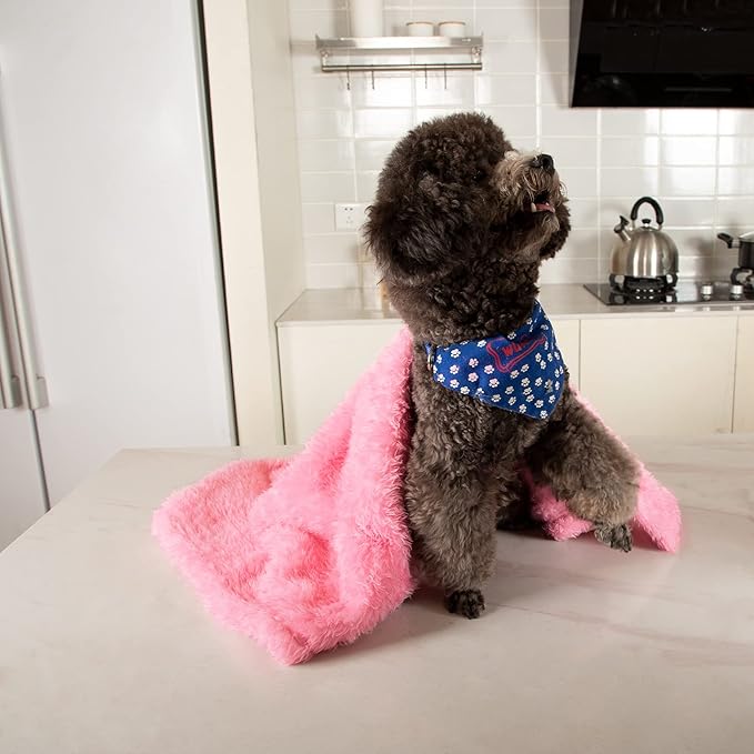 MACEVIA Fluffy Fleece Dog Blankets,Warm Soft Fuzzy Pets Blanket for Puppy,Small,Medium,Large Dogs and Cats,Plush Pet Throws for Bed,Couch,Sofa,Travel(24x29 Inch, Pink)