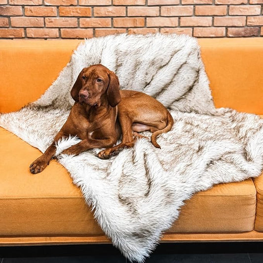 Waterproof Dog Blanket for Small, Medium & Large Dogs – Faux Fur Pet Throw for Couch, Sofa, Bed & Car – Soft, Washable, Stain-Resistant, Durable Cover – White w/Brown Tips – 60" x 50"