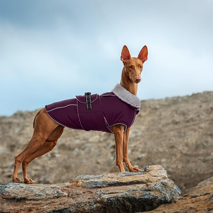 Lelepet Warm Dog Coat Waterproof Dog Jacket for Medium Dogs Reflective Fleece Vest with Adjustable Buckle Hook & Loop Windproof Cold Weather Coats for Small Medium Large Dogs, Dark Purple, M