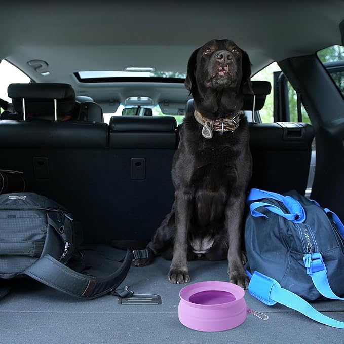SLSON Spill Proof Dog Water Bowl for Cars,Collapsible No Splash Dog Travel Bowls Integrated Molding Portable Pet Bowl for Road Trip Truck,RV,SUV,Boat Accessories (Purple)
