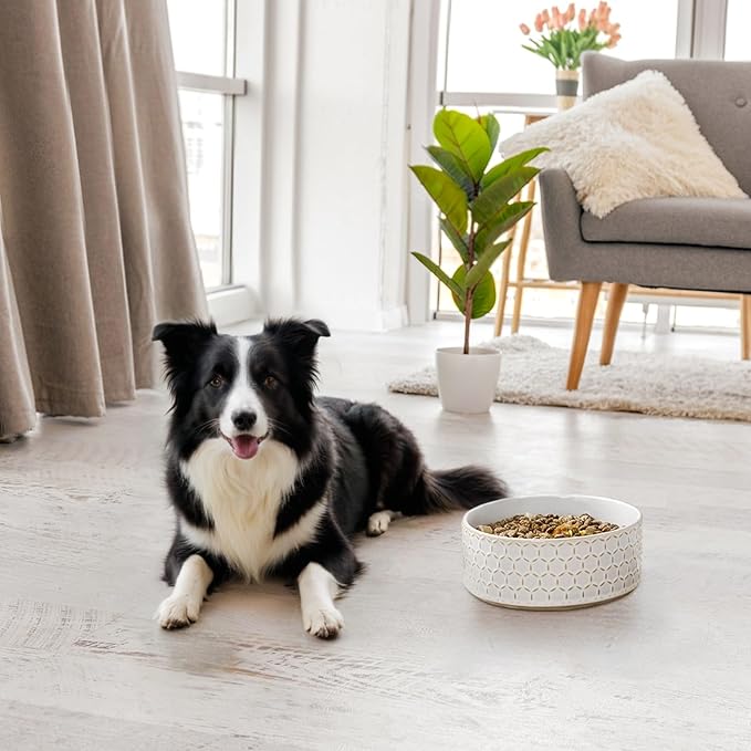 MALACASA Ceramic Dog Food Bowl, 3.5 Cups or 32oz Dog Food Water Dish for Mudium Breeds, Pet Bowl Dishwasher & Microwave Safe, Honeycomb, Series Lydia