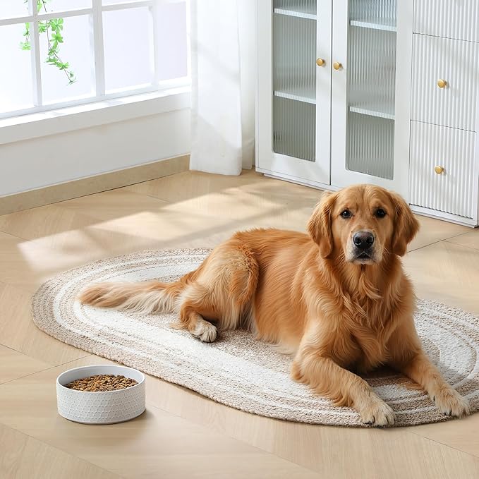 MALACASA Ceramic Dog Food Bowl, 6 Cups or 54 oz Dog Food Water Dish for Large Breeds, Pet Bowl Dishwasher & Microwave Safe, Honeycomb, Series Lydia