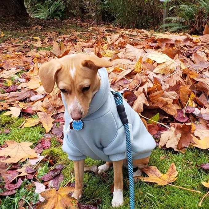 BINGPET Dog Hoodies - Fleece Lined Fall Dog Puppy Sweatshirt Soft Warm Sweater Winter Hooded Clothes for Small Medium Large Dogs & Cats