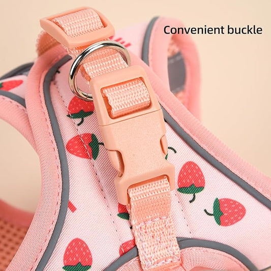 Step in Dog Harness and Leash Set, Flower Adjustable Easy Walk Puppy Harnesses, Soft Mesh No Pull Pet Vest Harness for Small Medium Dogs(Strawberry, M)
