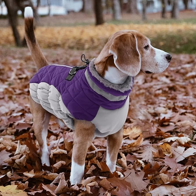Lelepet Dog Coat Warm Dog Winter Coat Waterproof Dogs Jacket with Harness Built in Reflective Pet Fleece Vest Zip-Up Cold Weather Coats for Medium Dogs Turtleneck & Windproof Coats Dachshund Purple M