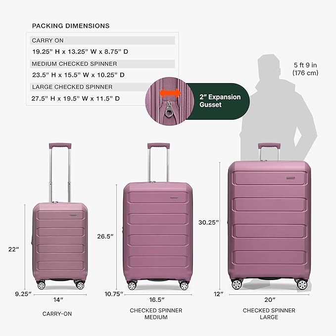 Traveler's Choice Pagosa Indestructible Hardshell Expandable Spinner Luggage, Mauve, 2-Piece Set (22/26)