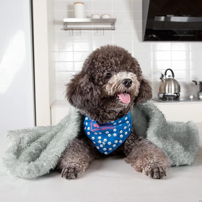 MACEVIA Fluffy Fleece Dog Blankets,Warm Soft Fuzzy Pets Blanket for Puppy,Small,Medium,Large Dogs and Cats,Plush Pet Throws for Bed,Couch,Sofa,Travel(24x29 Inch, Light Gray)