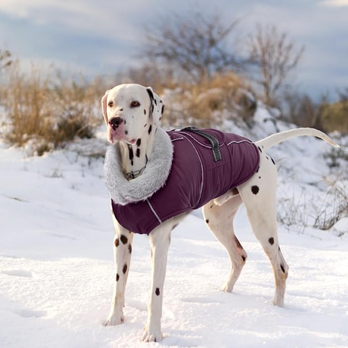 Lelepet Warm Dog Coat Waterproof Dog Jacket for Large Dogs Reflective Fleece Vest with Adjustable Buckle Hook & Loop Windproof Cold Weather Coats for Small Medium Large Dogs, Dark Purple, L