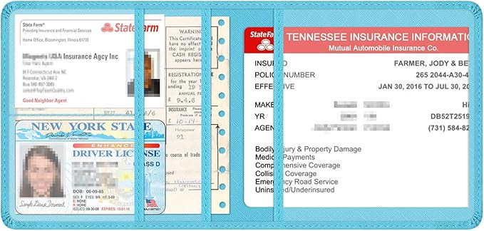 Car Insurance and Registration Holder, 5.5 x 5 Inch PU Leather Vehicle Glove Box Organizer Wallet Case for Insurance Card, Driver License, Paperwork - Mint Green