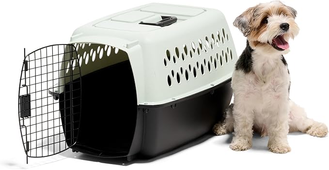 Petmate Pet Porter Fashion Dog Kennel - Crate for Pets 15-20 lbs - Airline Approved Pet Carrier - Durable Plastic Shell - For Home and Travel - Made in USA - 24 Inches - Pale Aqua and Black