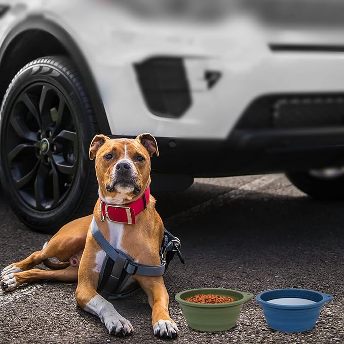 SLSON 2Pack Collapsible Dog Bowl,Integrated Molding Travel Bowl No Plastic Rim Pet Feeding Bowls for Walking Traveling Outdoors,600ML (Navy Blue+Dark Green)