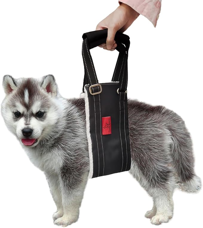 Leather Dog Lift Harness for Small Dogs, Doggie Walking Sling, Dog Sling Belly Support Strap, Pet Assist Harness for Senior,Injured,Disabled Dogs After ACL Surgery S