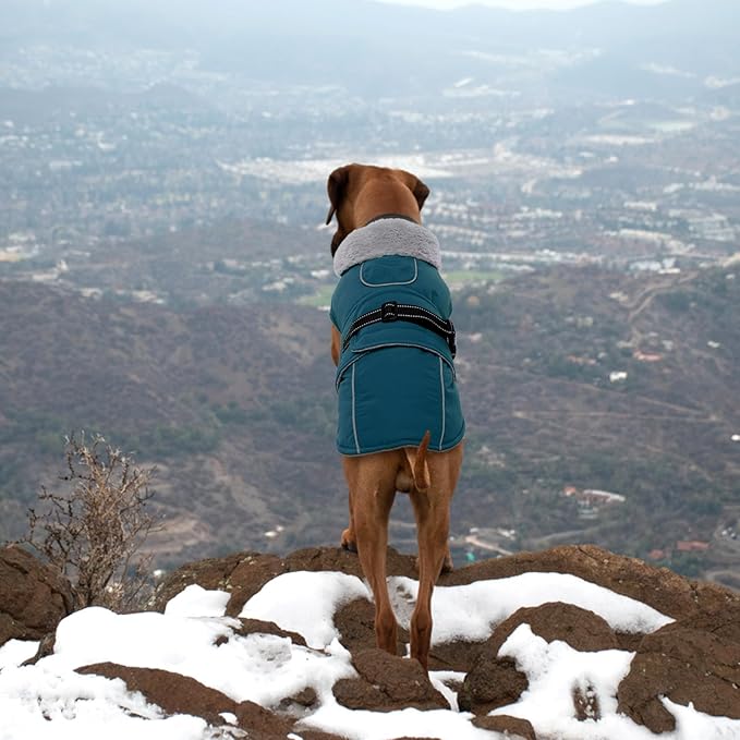 Lelepet Warm Dog Coats for Extra Large Dogs Waterproof Dog Winter Jacket Reflective Pet Fleece Vest Windproof Cold Weather Coats with Adjustable Buckle & Leash Hole, Dark Green, XXXL