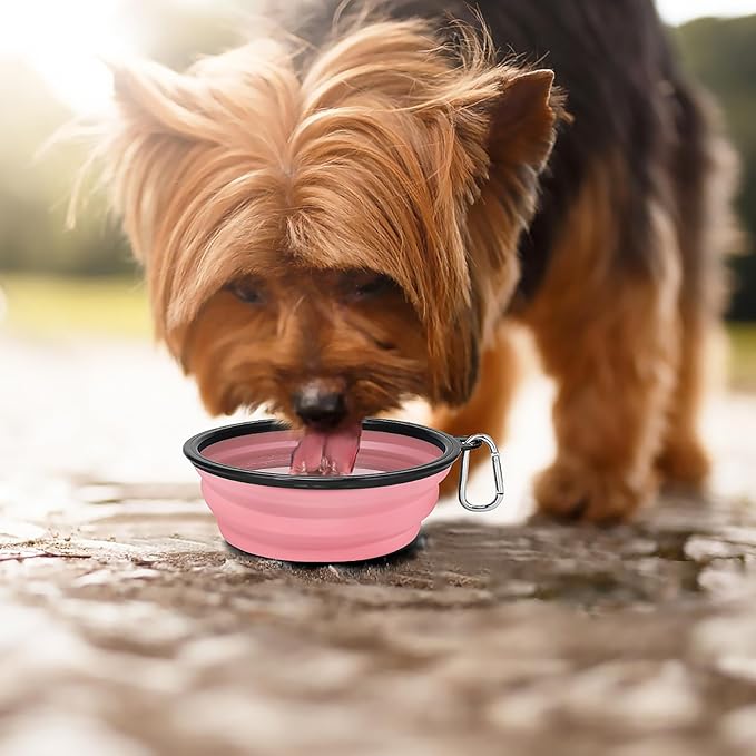 Kytely Large Collapsible Dog Bowls 2 Pack, 34oz Foldable Dog Travel Bowl, Portable Pet Water Food Bowl with Clasp, Pet Cat Feeding Cup Dish for Traveling, Walking, Hiking (Pink+Purple)
