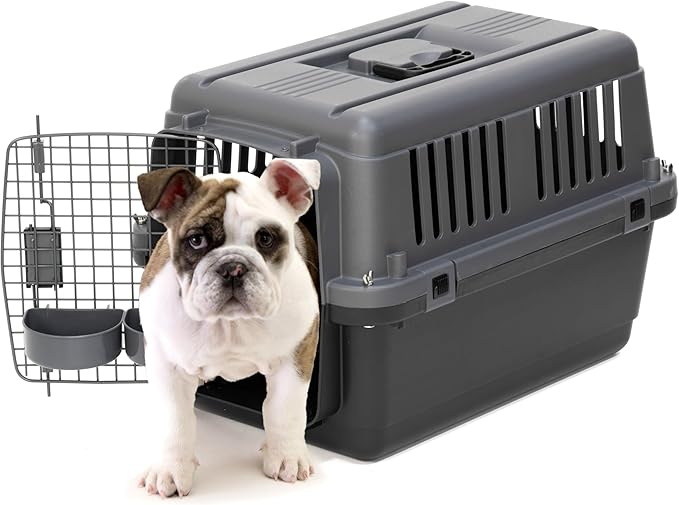 SportPet Airline Approved Wire Door Travel Dog Crate, Durable Plastic Pet Travel Kennel, Secure Latch, Collapsible, Food Bowls & Accessories, Fits Dogs up to 21" L & 13" H - Small - Gray/Black