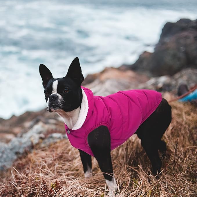 Fleece Hoodie for Dogs - Windproof Waterproof Coat, Winter Warm Jacket, Cold Weather Pet Apparel Clothes Vest for Small Medium Large Dogs (L, Pink)