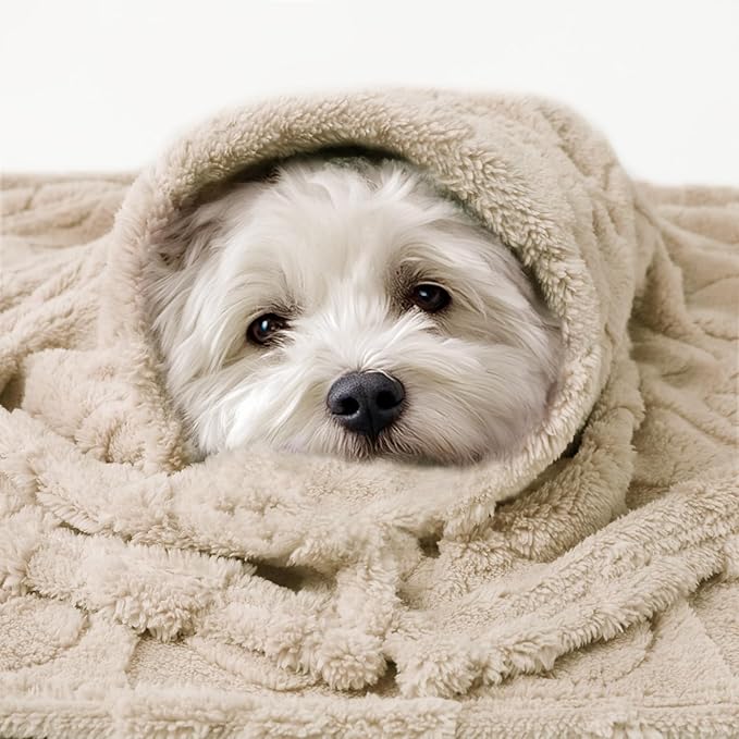 Luciphia 1 Pack 2 Small Dog Blanket Washable Pet Bed Cover Soft Fluffy Puppy Blanket with Premium Fleece 300GSM Cozy Calming Cat Blankets for Indoor Cats Beige 57x40 inch