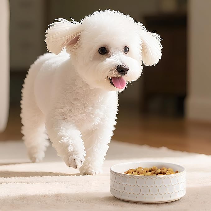 MALACASA Ceramic Dog Food Bowl, 1.5 Cups or 14oz Dog Food Water Dish for Small Breeds, Cats Pet Bowl Dishwasher & Microwave Safe, Honeycomb, Series Lydia