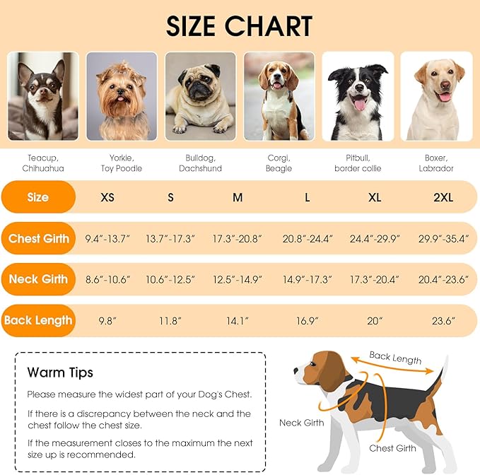 Queenmore Dog Winter Coat, Cold Weather Fleece Jacket for Dogs, Waterproof Reflective Reversible, for Small, Medium and Large Dogs (Grey, S)