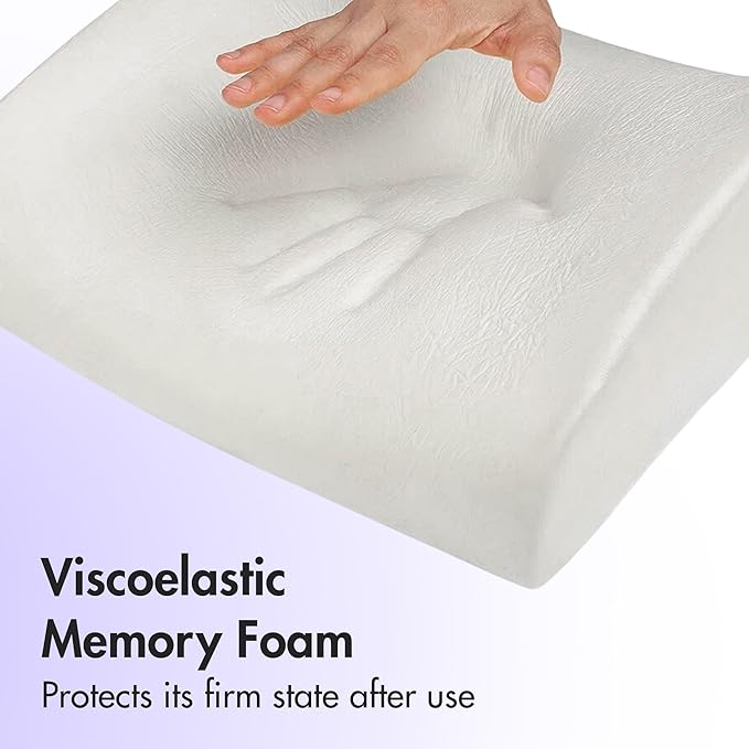 Ambesonne Cartoon Lumbar Back Support Pillow, Repetitive Ladybugs Pattern of Dotted Marked Animal Theme Funny Cartoonish Print, High Density Foam for Office Chairs Car Seats, 14" x 13", White and Red